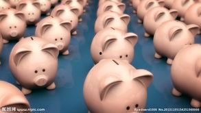 存钱罐爆料视频,视频爆料揭示惊人秘密